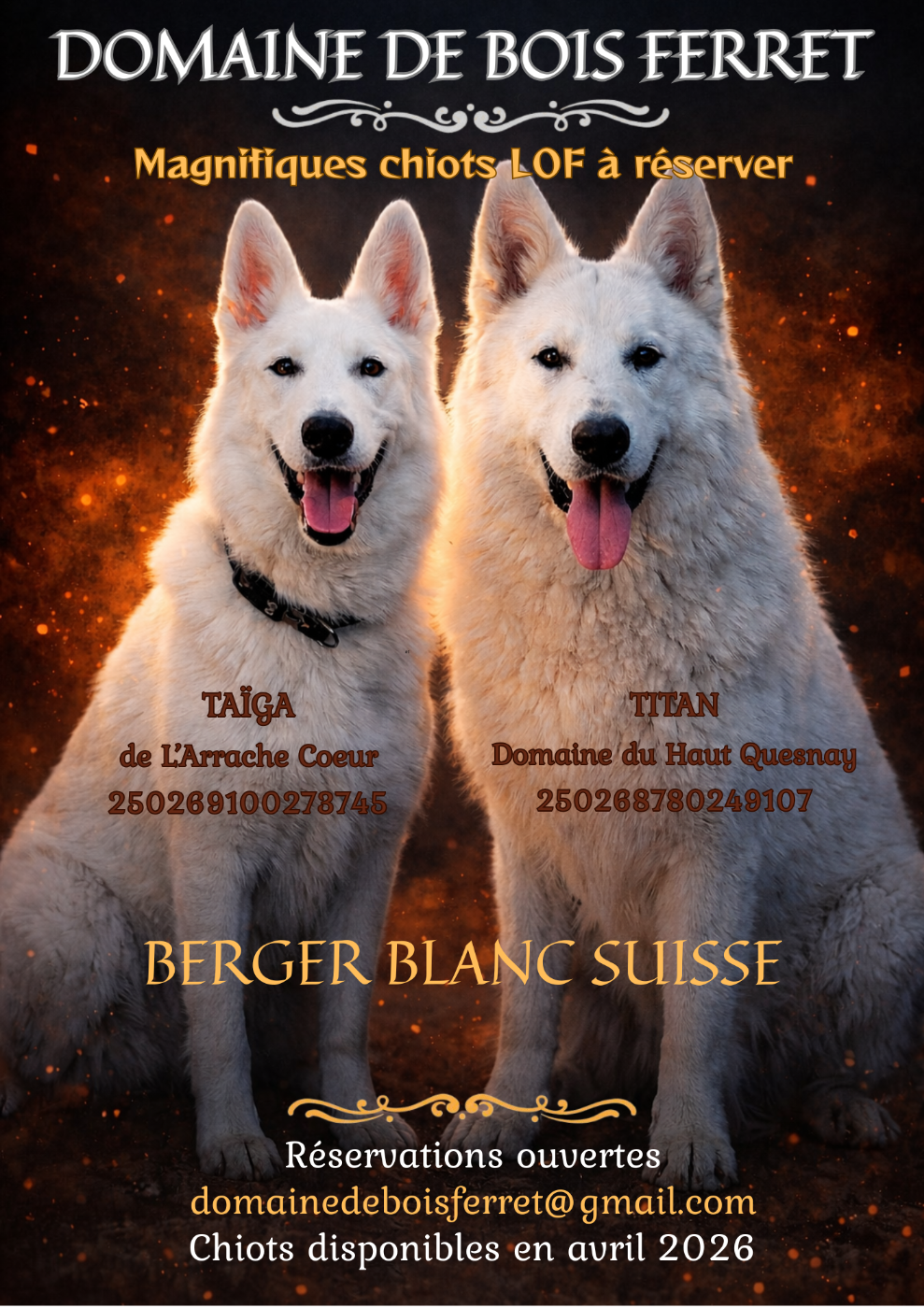 PROCHAINE PORTÉE AU PRINTEMPS 2026