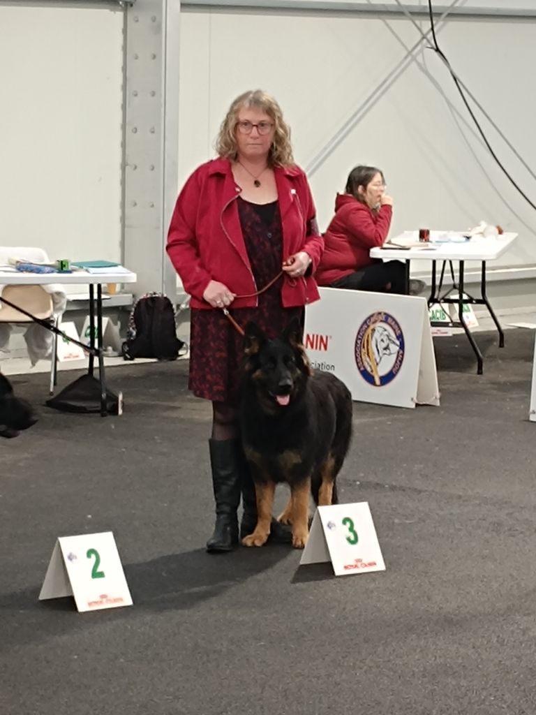 Expo canine Angers - Nov. 2025